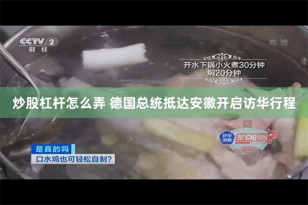 炒股杠杆怎么弄 德国总统抵达安徽开启访华行程