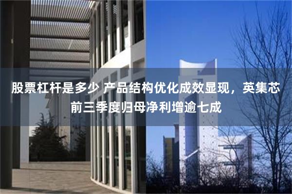 股票杠杆是多少 产品结构优化成效显现,英集芯前三季度归母净利增逾七成