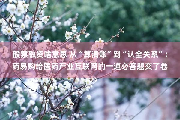 股票融资啥意思 从“算清账”到“认全关系”：药易购给医药产业互联网的一道必答题交了卷